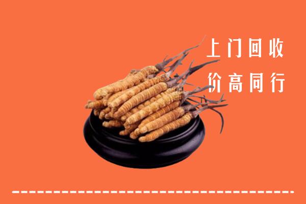 高价求购：北安市回收散虫草